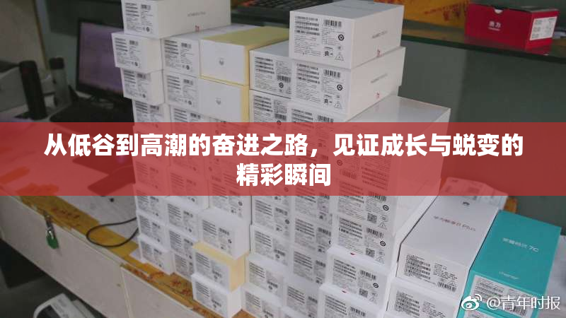 从低谷到高潮的奋进之路，见证成长与蜕变的精彩瞬间
