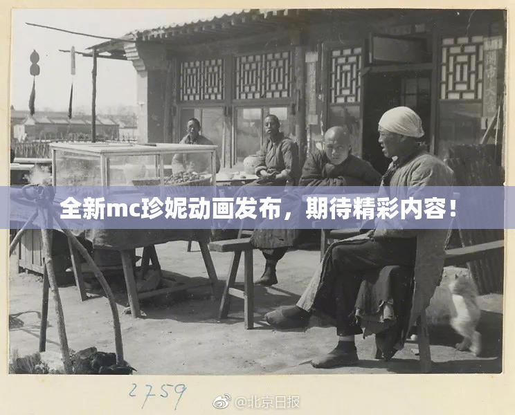 全新mc珍妮动画发布，期待精彩内容！