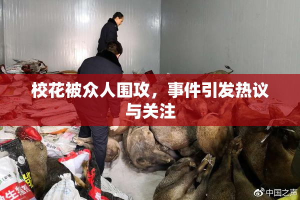 校花被众人围攻，事件引发热议与关注