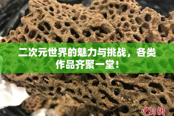 二次元世界的魅力与挑战，各类作品齐聚一堂！