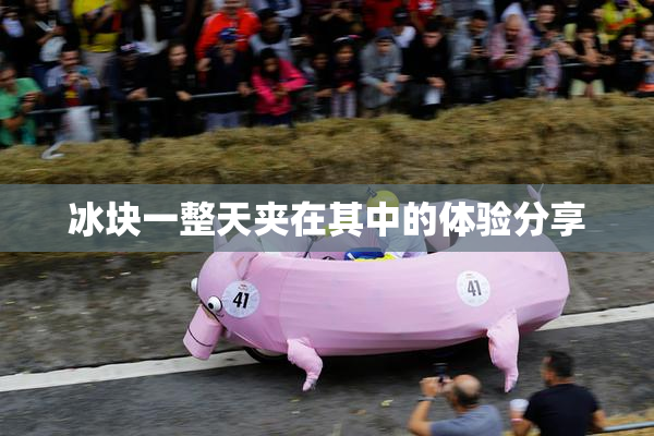 冰块一整天夹在其中的体验分享