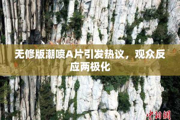 无修版潮喷A片引发热议，观众反应两极化