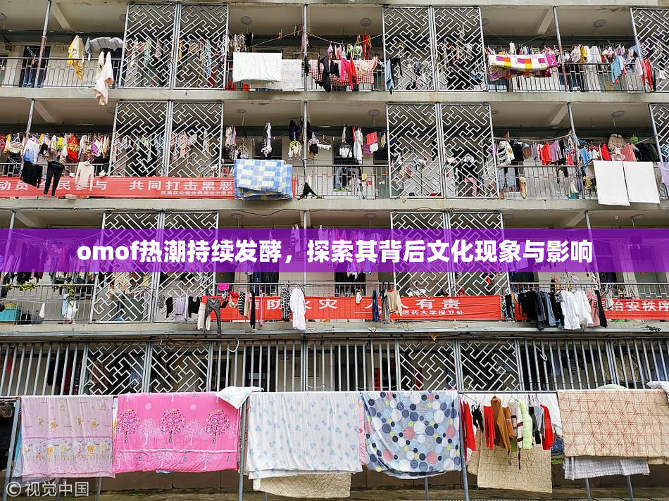 omof热潮持续发酵，探索其背后文化现象与影响