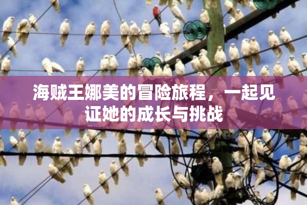 海贼王娜美的冒险旅程，一起见证她的成长与挑战