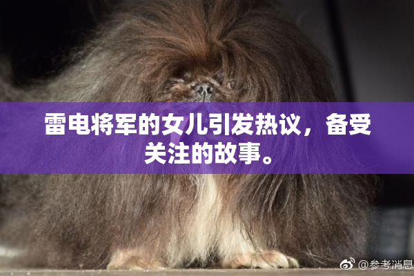 雷电将军的女儿引发热议，备受关注的故事。
