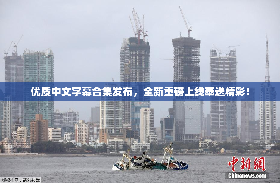 优质中文字幕合集发布，全新重磅上线奉送精彩！