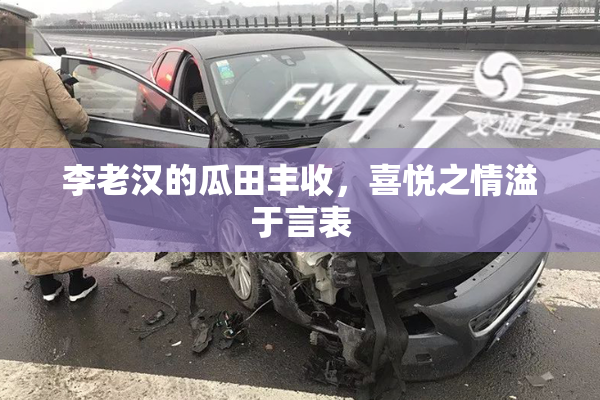 李老汉的瓜田丰收，喜悦之情溢于言表