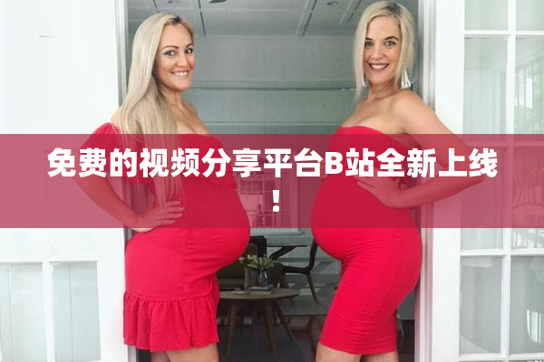 免费的视频分享平台B站全新上线！