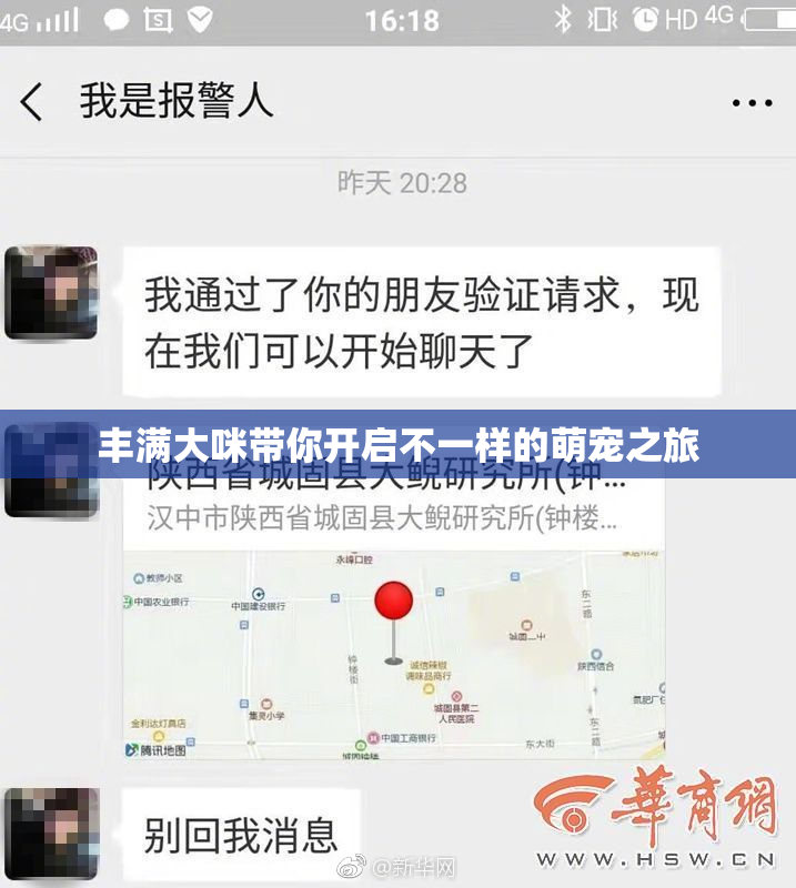丰满大咪带你开启不一样的萌宠之旅