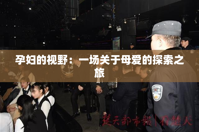 孕妇的视野：一场关于母爱的探索之旅