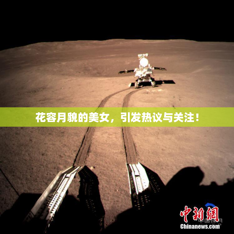 花容月貌的美女，引发热议与关注！