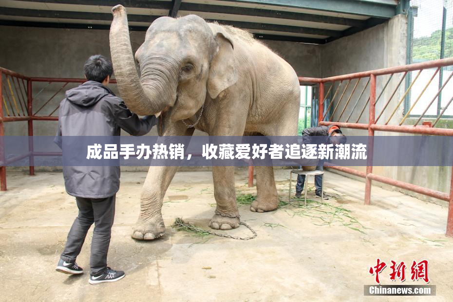 成品手办热销，收藏爱好者追逐新潮流