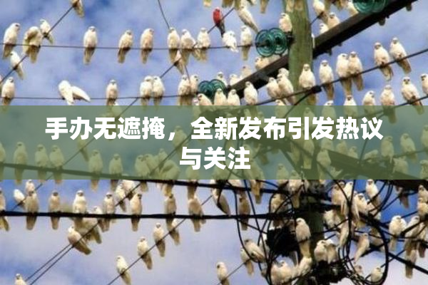 手办无遮掩，全新发布引发热议与关注