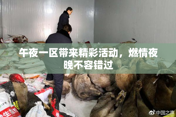 午夜一区带来精彩活动，燃情夜晚不容错过