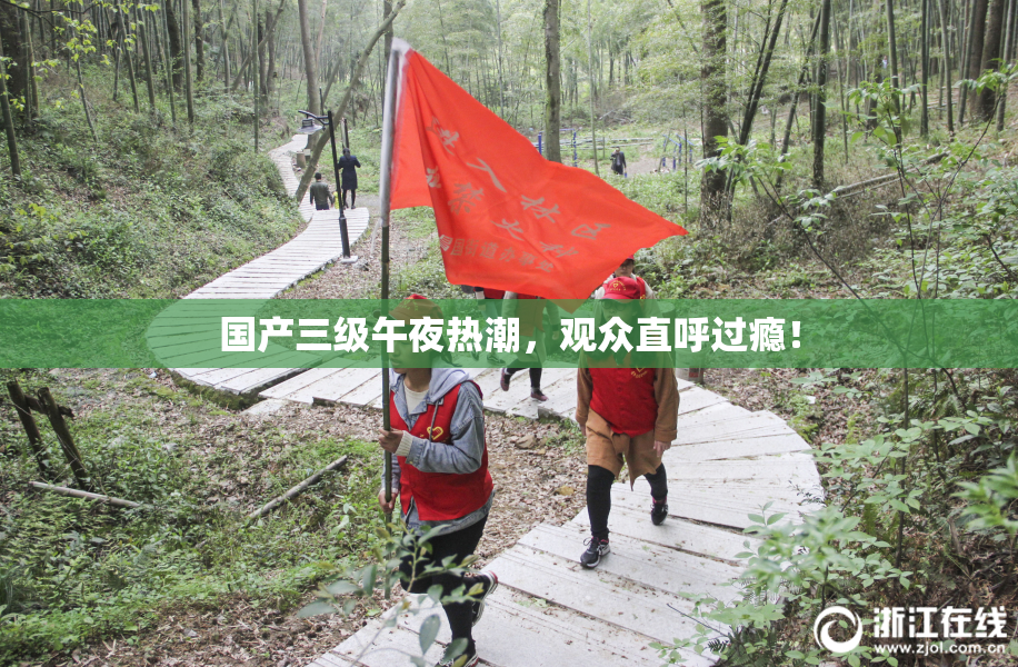 国产三级午夜热潮，观众直呼过瘾！