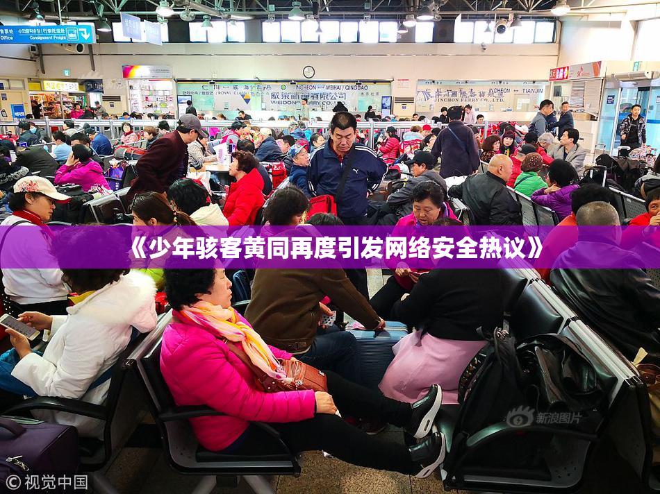 《少年骇客黄同再度引发网络安全热议》