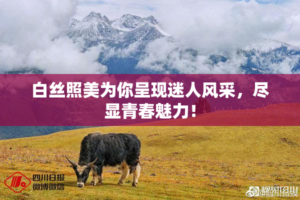 白丝照美为你呈现迷人风采，尽显青春魅力！