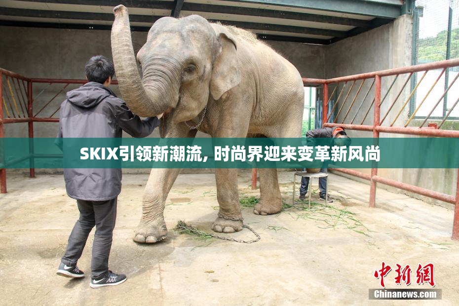 SKIX引领新潮流, 时尚界迎来变革新风尚