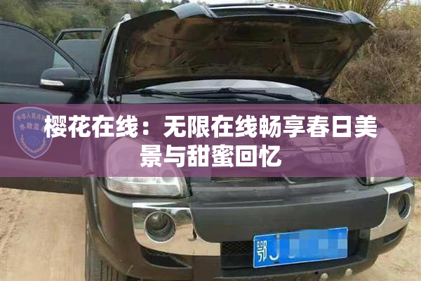樱花在线：无限在线畅享春日美景与甜蜜回忆