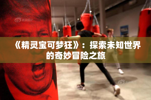 《精灵宝可梦狂》：探索未知世界的奇妙冒险之旅