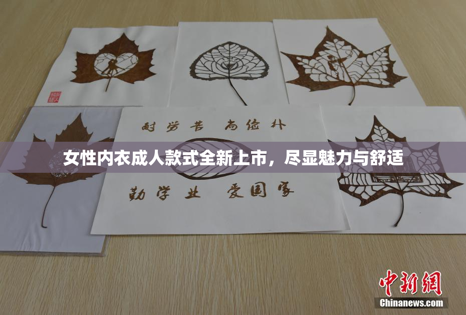 女性内衣成人款式全新上市，尽显魅力与舒适