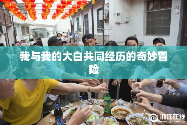 我与我的大白共同经历的奇妙冒险