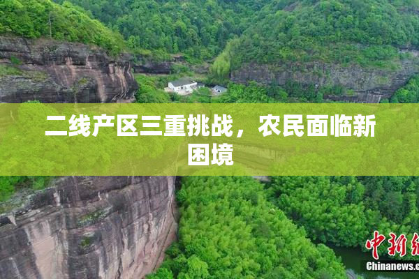 二线产区三重挑战，农民面临新困境