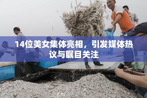 14位美女集体亮相，引发媒体热议与瞩目关注