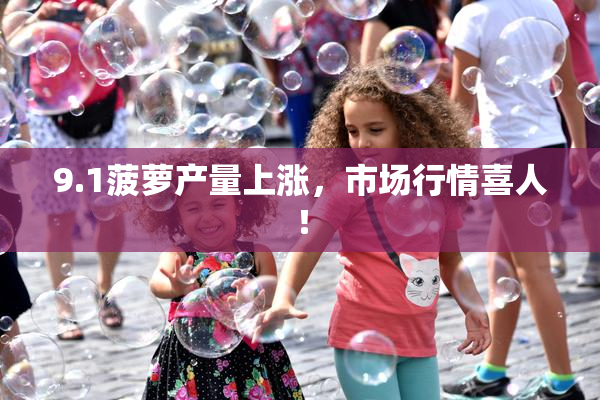9.1菠萝产量上涨，市场行情喜人！