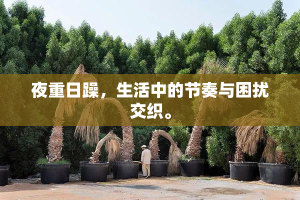 夜重日躁，生活中的节奏与困扰交织。
