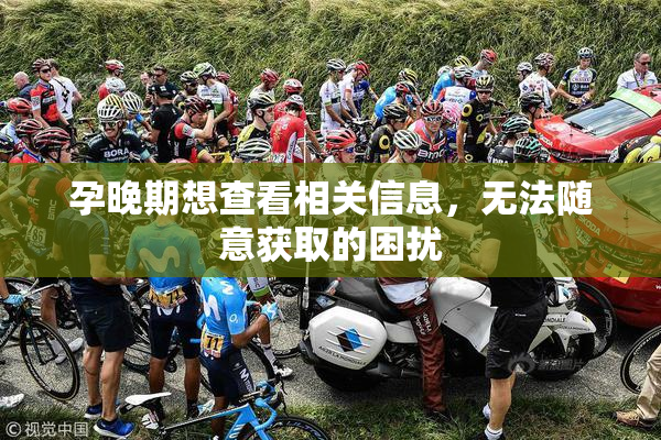 孕晚期想查看相关信息，无法随意获取的困扰