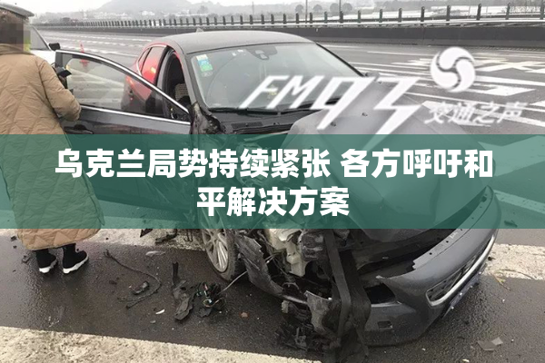 乌克兰局势持续紧张 各方呼吁和平解决方案