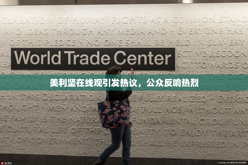 美利坚在线观引发热议，公众反响热烈