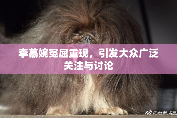 李慕婉冤屈重现，引发大众广泛关注与讨论