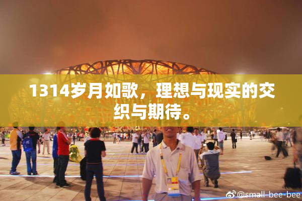 1314岁月如歌，理想与现实的交织与期待。