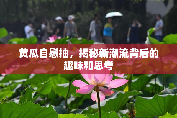 黄瓜自慰抽，揭秘新潮流背后的趣味和思考