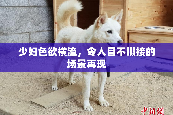 少妇色欲横流，令人目不暇接的场景再现