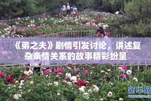 《弟之夫》剧情引发讨论，讲述复杂亲情关系的故事精彩纷呈