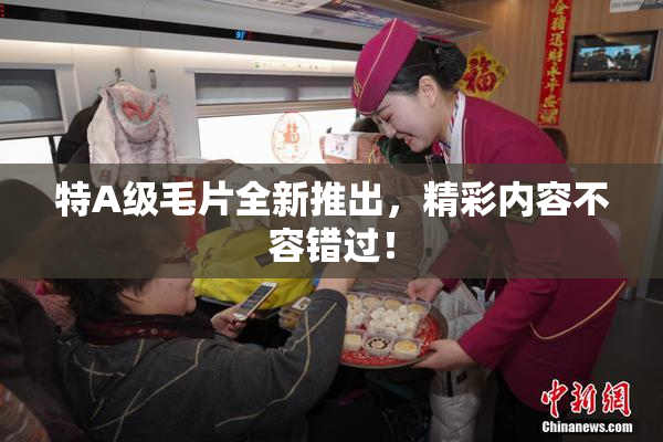 特A级毛片全新推出，精彩内容不容错过！