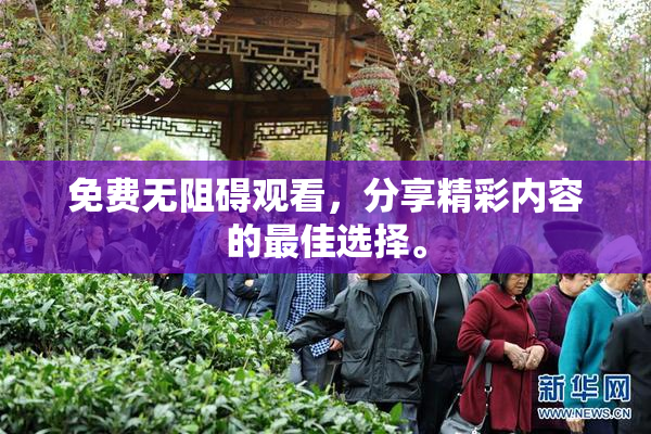 免费无阻碍观看，分享精彩内容的最佳选择。