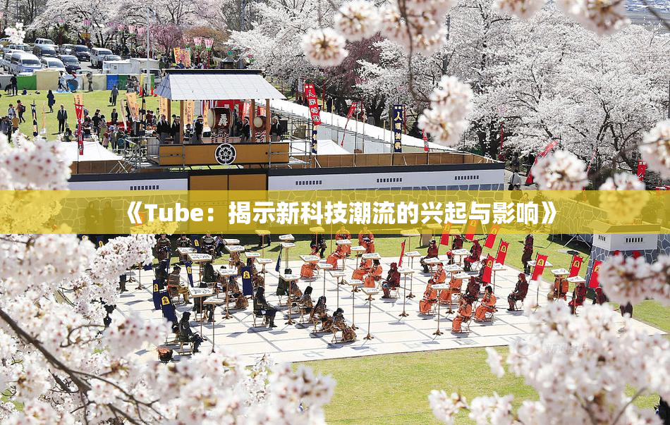《Tube：揭示新科技潮流的兴起与影响》