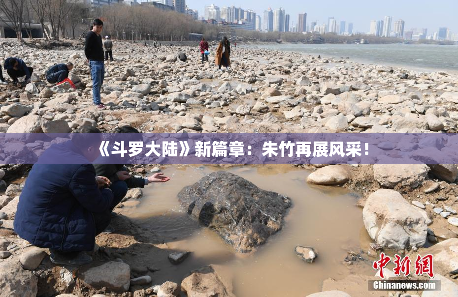 《斗罗大陆》新篇章：朱竹再展风采！