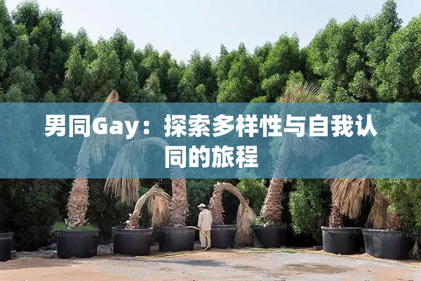男同Gay：探索多样性与自我认同的旅程