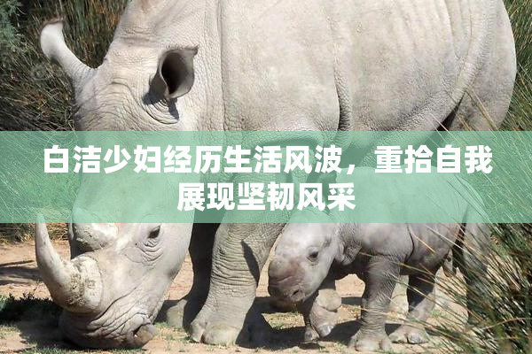白洁少妇经历生活风波，重拾自我展现坚韧风采