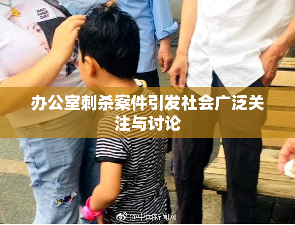 办公室刺杀案件引发社会广泛关注与讨论