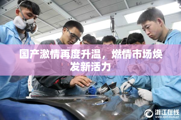 国产激情再度升温，燃情市场焕发新活力