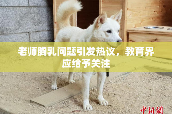 老师胸乳问题引发热议，教育界应给予关注