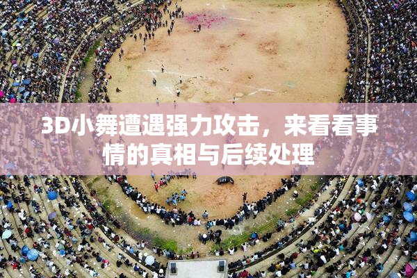 3D小舞遭遇强力攻击，来看看事情的真相与后续处理