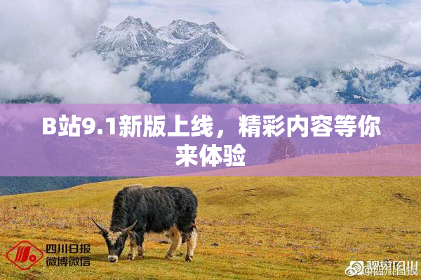 B站9.1新版上线，精彩内容等你来体验