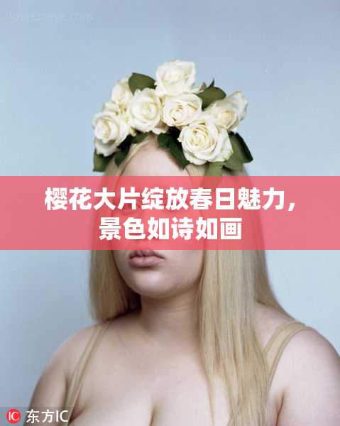樱花大片绽放春日魅力，景色如诗如画